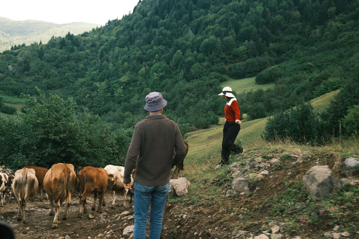 Tusheti Highlands — shared by Emily Carter