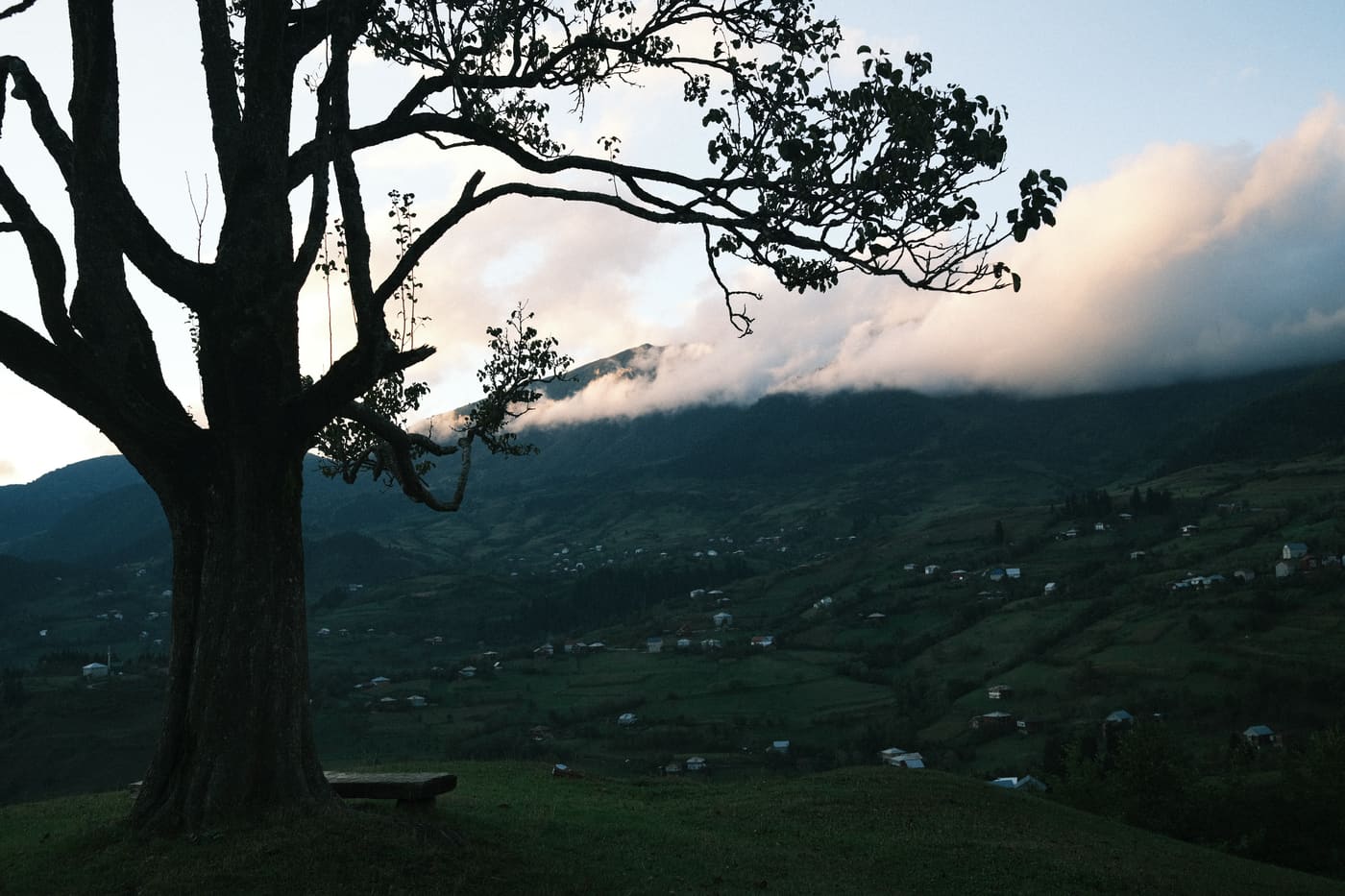 Adjara Highlands — shared by Olivia Hayes