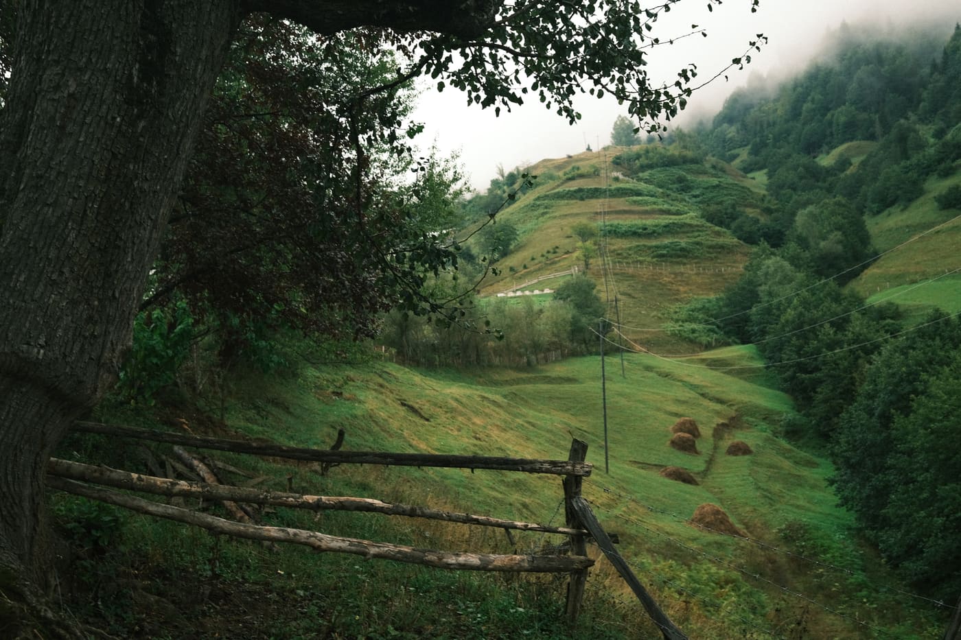 Adjara Highlands — shared by Andrew Simmons