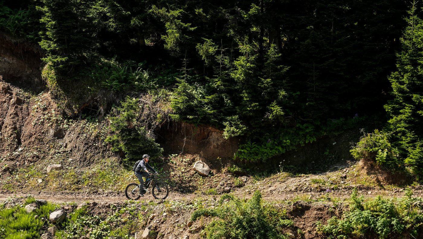 Goderdzi forest trail, Adjara — shared by Plan Your Trip to Georgia