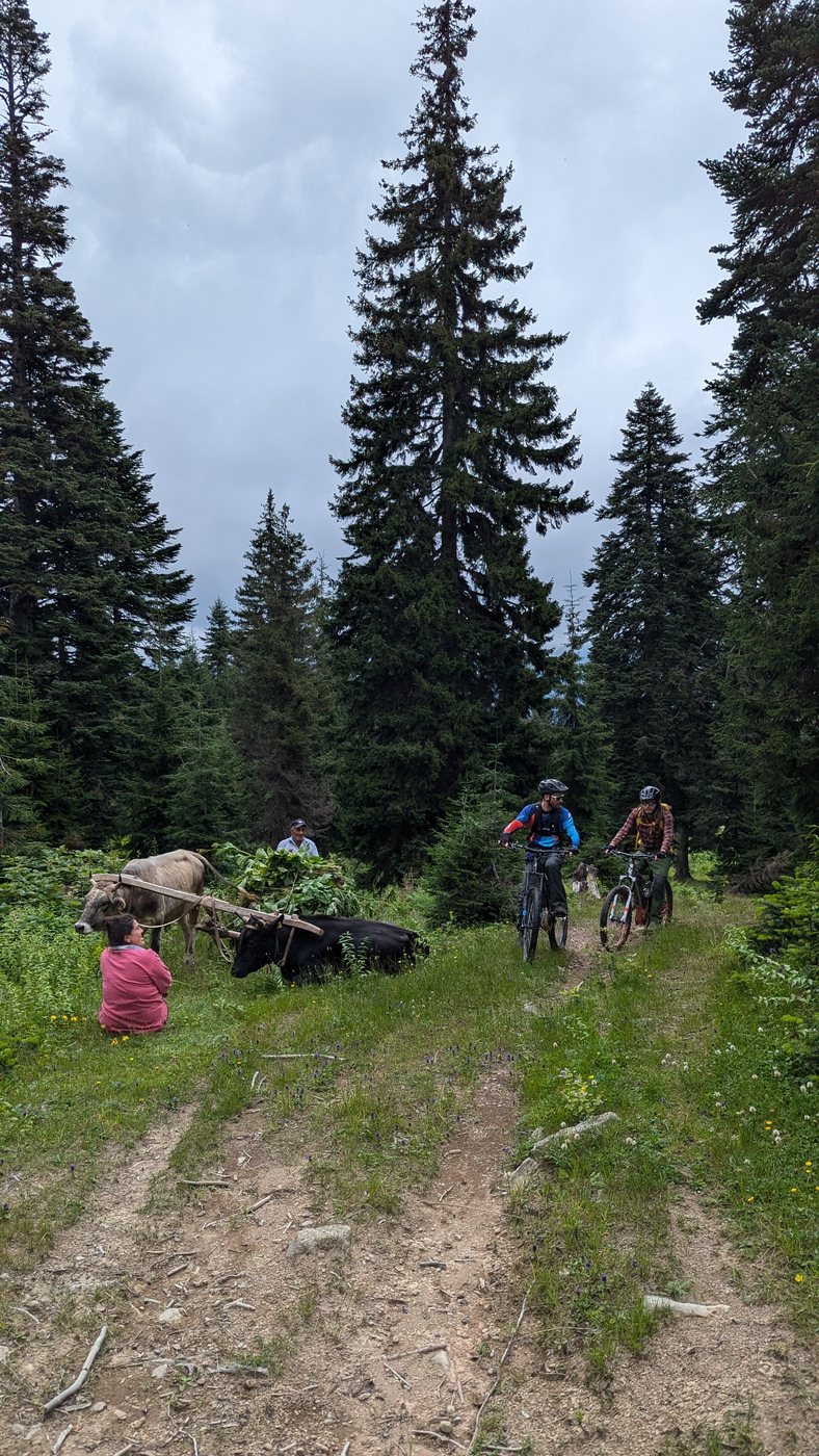 Meeting the locals, Goderdzi — shared by Plan Your Trip to Georgia