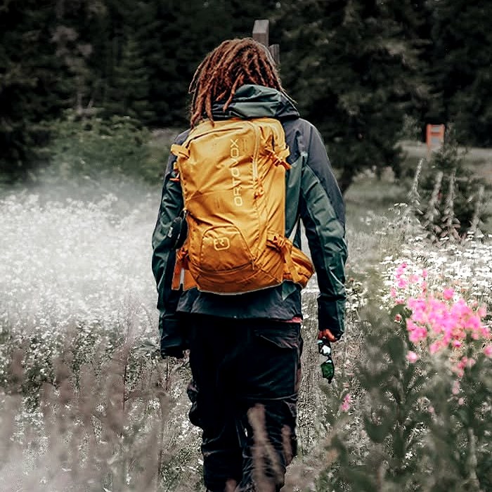 Wildflower trail, Goderdzi — shared by Plan Your Trip to Georgia