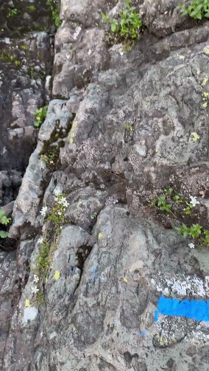 Tobavarchkhili, Samegrelo — shared by Samantha Grant