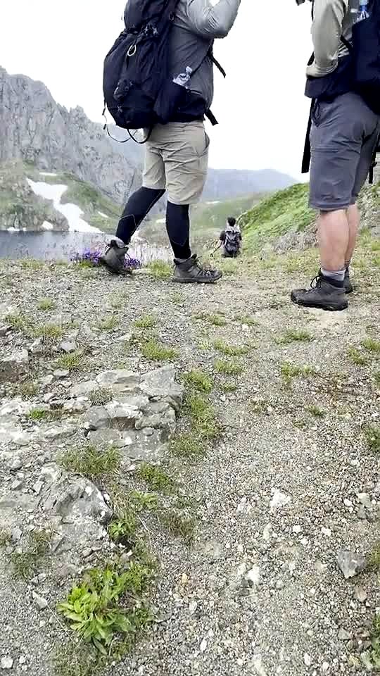 Alpine flowers, Chaukhi Lake, Kazbegi — shared by Plan Your Trip to Georgia